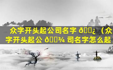 众字开头起公司名字 🌿 （众字开头起公 🌾 司名字怎么起）